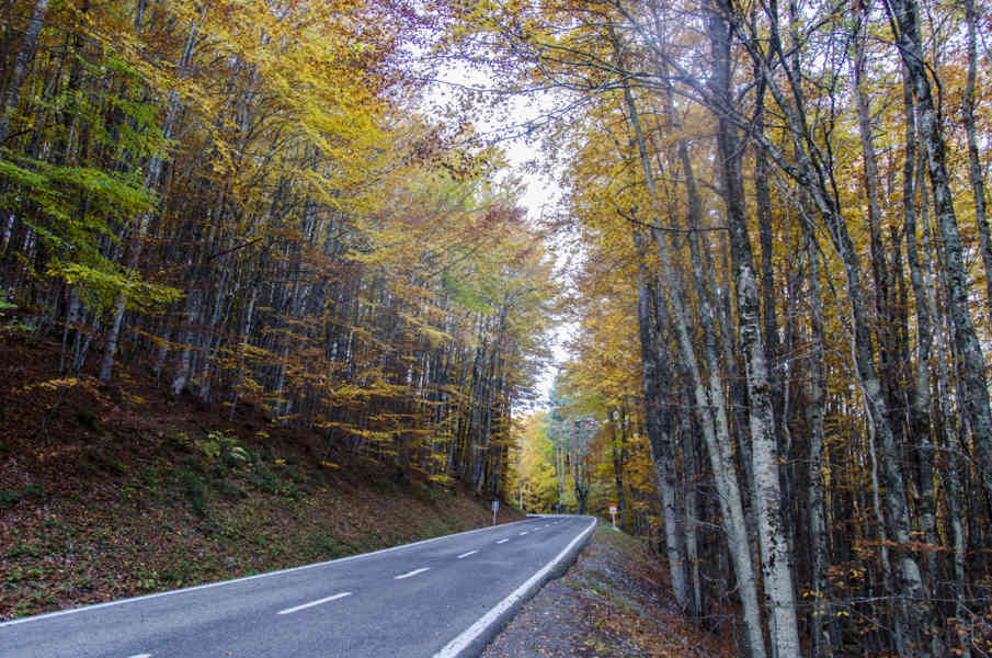 Comunidad Foral de Navarra 143 - valle de Roncal.jpg